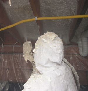 St. John's Newfoundla crawl space insulation